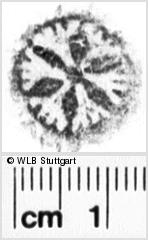Image Description for https://www.hist-einband.de/Bilder/WLB/MIG/images/s0193205.jpg