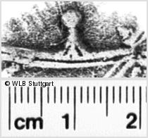Image Description for https://www.hist-einband.de/Bilder/WLB/MIG/images/s0193508.jpg