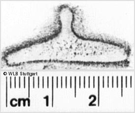 Image Description for https://www.hist-einband.de/Bilder/WLB/MIG/images/s0200427.jpg
