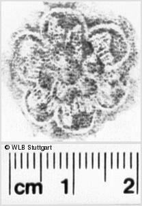 Image Description for https://www.hist-einband.de/Bilder/WLB/MIG/images/s0200717.jpg