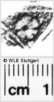 Image Description for https://www.hist-einband.de/Bilder/WLB/MIG/images/s0201008.jpg