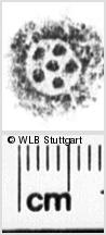 Image Description for https://www.hist-einband.de/Bilder/WLB/MIG/images/s0201209.jpg