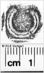 Image Description for https://www.hist-einband.de/Bilder/WLB/MIG/images/s0201215.jpg