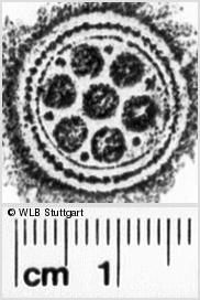 Image Description for https://www.hist-einband.de/Bilder/WLB/MIG/images/s0201403.jpg