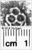 Image Description for https://www.hist-einband.de/Bilder/WLB/MIG/images/s0201711.jpg