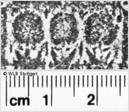 Image Description for https://www.hist-einband.de/Bilder/WLB/MIG/images/s0201714.jpg
