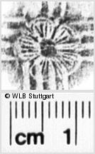 Image Description for https://www.hist-einband.de/Bilder/WLB/MIG/images/s0203309.jpg