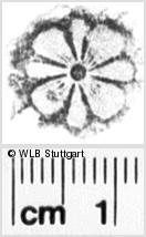 Image Description for https://www.hist-einband.de/Bilder/WLB/MIG/images/s0210909.jpg
