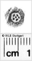 Image Description for https://www.hist-einband.de/Bilder/WLB/MIG/images/s0211306.jpg