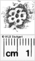 Image Description for https://www.hist-einband.de/Bilder/WLB/MIG/images/s0212210.jpg