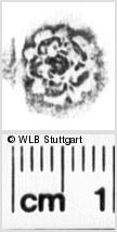 Image Description for https://www.hist-einband.de/Bilder/WLB/MIG/images/s0213609.jpg