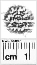 Image Description for https://www.hist-einband.de/Bilder/WLB/MIG/images/s0213610.jpg
