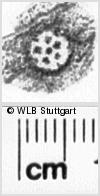 Image Description for https://www.hist-einband.de/Bilder/WLB/MIG/images/s0214316.jpg