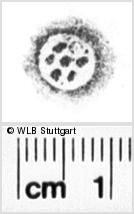 Image Description for https://www.hist-einband.de/Bilder/WLB/MIG/images/s0215422.jpg