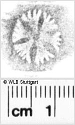 Image Description for https://www.hist-einband.de/Bilder/WLB/MIG/images/s0216508.jpg