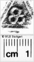 Image Description for https://www.hist-einband.de/Bilder/WLB/MIG/images/s0217305.jpg