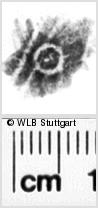 Image Description for https://www.hist-einband.de/Bilder/WLB/MIG/images/s0217308.jpg