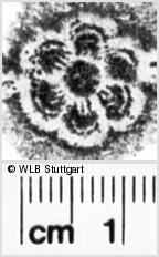 Image Description for https://www.hist-einband.de/Bilder/WLB/MIG/images/s0217405.jpg