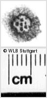 Image Description for https://www.hist-einband.de/Bilder/WLB/MIG/images/s0218506.jpg