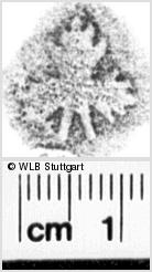 Image Description for https://www.hist-einband.de/Bilder/WLB/MIG/images/s0218510.jpg