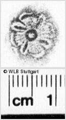 Image Description for https://www.hist-einband.de/Bilder/WLB/MIG/images/s0218525.jpg