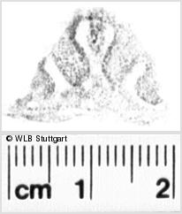 Image Description for https://www.hist-einband.de/Bilder/WLB/MIG/images/s0218612.jpg