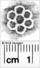 Image Description for https://www.hist-einband.de/Bilder/WLB/MIG/images/s0218804.jpg