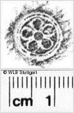 Image Description for https://www.hist-einband.de/Bilder/WLB/MIG/images/s0219105.jpg