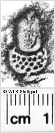 Image Description for https://www.hist-einband.de/Bilder/WLB/MIG/images/s0222208.jpg