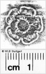 Image Description for https://www.hist-einband.de/Bilder/WLB/MIG/images/s0222505.jpg