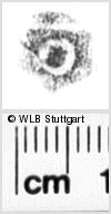 Image Description for https://www.hist-einband.de/Bilder/WLB/MIG/images/s0223611.jpg