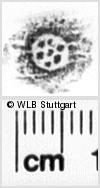 Image Description for https://www.hist-einband.de/Bilder/WLB/MIG/images/s0232708.jpg