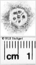 Image Description for https://www.hist-einband.de/Bilder/WLB/MIG/images/s0233207.jpg