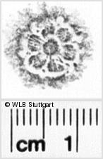 Image Description for https://www.hist-einband.de/Bilder/WLB/MIG/images/s0234006.jpg