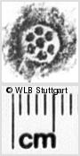 Image Description for https://www.hist-einband.de/Bilder/WLB/MIG/images/s0244610.jpg