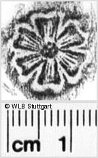Image Description for https://www.hist-einband.de/Bilder/WLB/MIG/images/s0245507.jpg