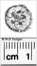 Image Description for https://www.hist-einband.de/Bilder/WLB/MIG/images/s0247012.jpg