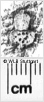 Image Description for https://www.hist-einband.de/Bilder/WLB/MIG/images/s0252310.jpg