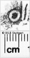 Image Description for https://www.hist-einband.de/Bilder/WLB/MIG/images/s0252311.jpg