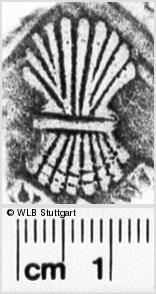 Image Description for https://www.hist-einband.de/Bilder/WLB/MIG/images/s0254630.jpg