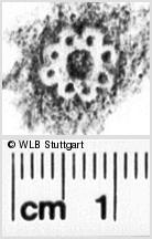 Image Description for https://www.hist-einband.de/Bilder/WLB/MIG/images/s0261030.jpg
