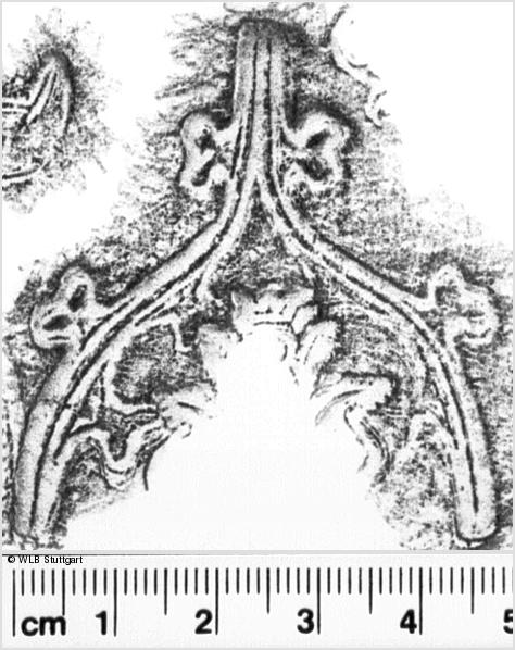 Image Description for https://www.hist-einband.de/Bilder/WLB/MIG/images/s0261110.jpg