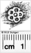 Image Description for https://www.hist-einband.de/Bilder/WLB/MIG/images/s0261607.jpg