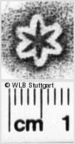 Image Description for https://www.hist-einband.de/Bilder/WLB/MIG/images/s0263201.jpg