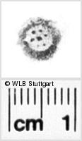 Image Description for https://www.hist-einband.de/Bilder/WLB/MIG/images/s0266613.jpg