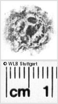 Image Description for https://www.hist-einband.de/Bilder/WLB/MIG/images/s0266614.jpg