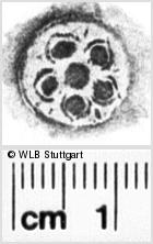 Image Description for https://www.hist-einband.de/Bilder/WLB/MIG/images/s0267407.jpg