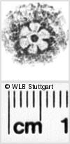 Image Description for https://www.hist-einband.de/Bilder/WLB/MIG/images/s0268209.jpg