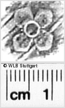 Image Description for https://www.hist-einband.de/Bilder/WLB/MIG/images/s0271414.jpg