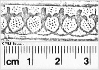 Image Description for https://www.hist-einband.de/Bilder/WLB/MIG/images/s0271417.jpg